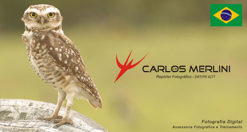  E n t r a r   n o   s i t e 